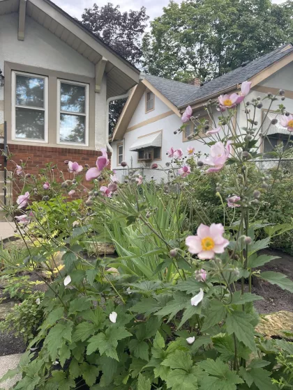 A backyard garden in Minneapolis