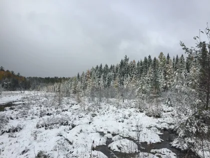 Bear Head Lake State Park during winter