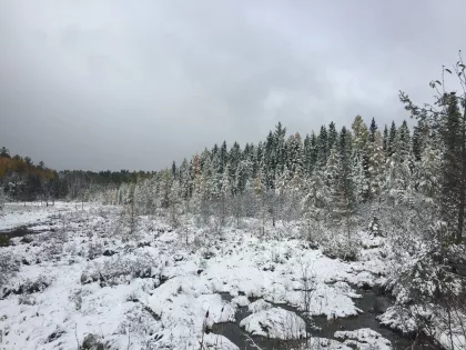 Bear Head Lake State Park during winter