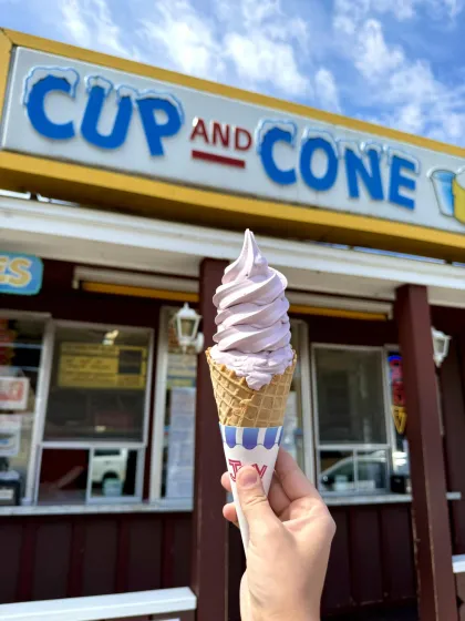 Blueberry soft serve at Cup and Cone