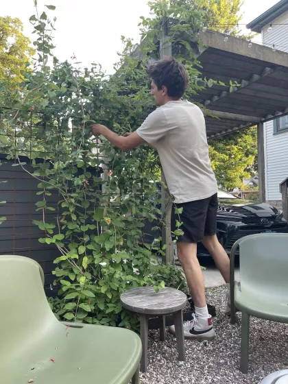 Setting up a garden in Minneapolis