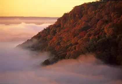 A scenic overlook at Great River Bluffs State Park