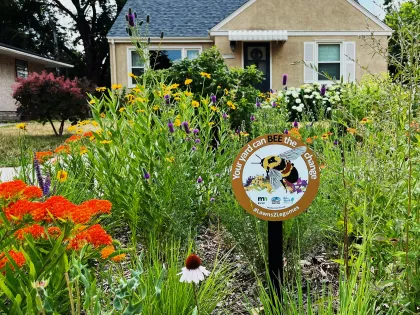 Minnesota's Lawns to Legumes program