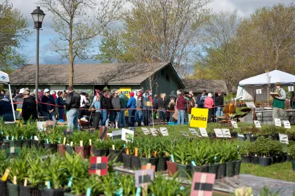 A plant sale at Minnesota Landscape Arboretum