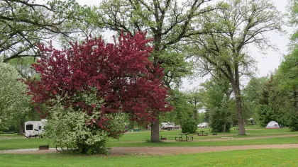 Camping at Red River State Recreation Area