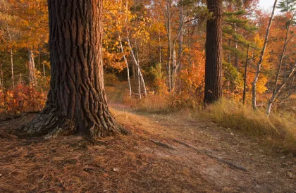Savanna Portage State Park in fall
