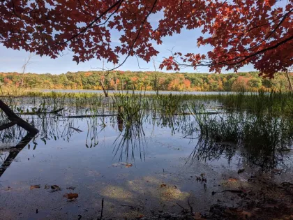 Saint John's Abbey Arboretum