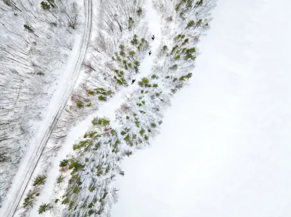 Winter fat biking in Cuyuna Country State Recreation Area
