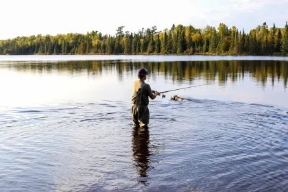 Trout fishing in the Superior National Forest