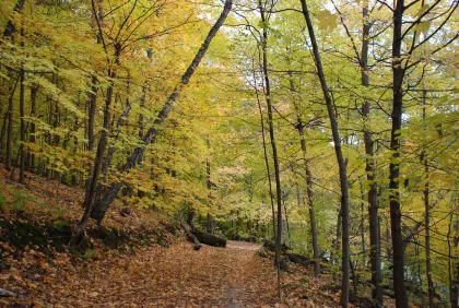 Bluffside Park