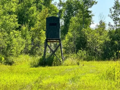 Fourtown-Grygla Trail