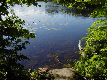 Jensen Lake at Lebanon Hills Regional Park