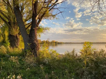 Lake Nokomis