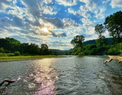 Root River State Trail