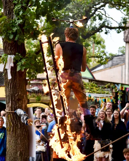 Minnesota Renaissance Festival