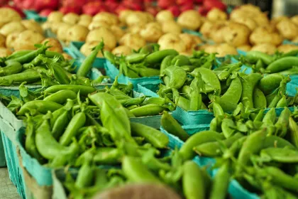 Maple Grove Farmers Market