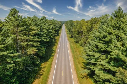 Avenue of Pines Scenic Byway