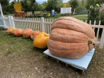 Center Creek Orchard