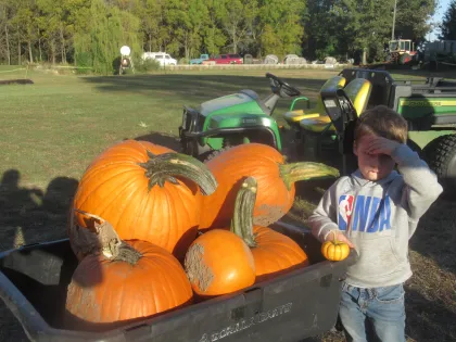 Farmer John's Pumpkin Patch