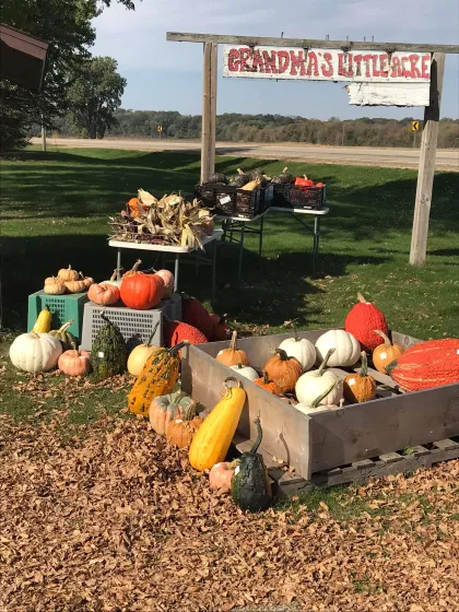 Grandma's Little Acre