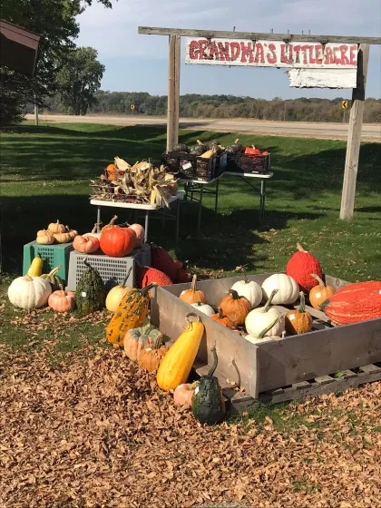 Grandma's Little Acre