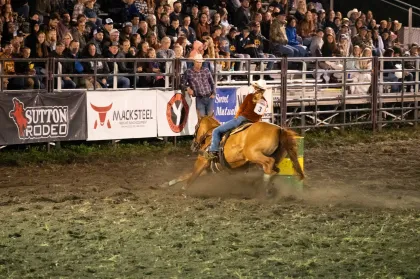 A Sutton Rodeo performance during Northfield's Defeat of Jesse James Days