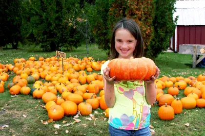 Thea's Pumpkin Patch