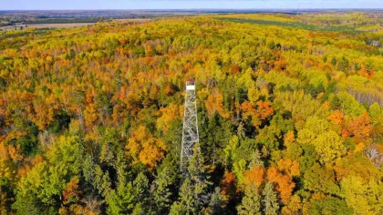Thiede Fire Tower in Pequot Lakes