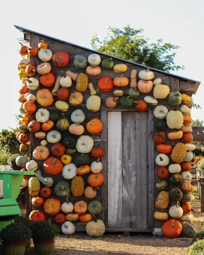 Zywiec’s Landscape and Garden Center