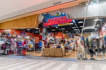 Alpaca Connection Imports