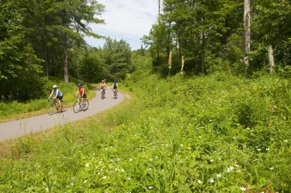 Bikers along the Paul Bunyan State Trail