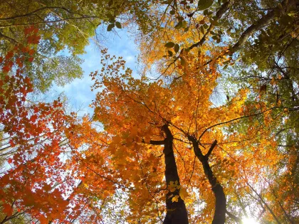 Lake Carlos State Park