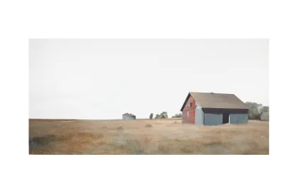 Teo Nguyen's "Midwest Landscape No. 108"