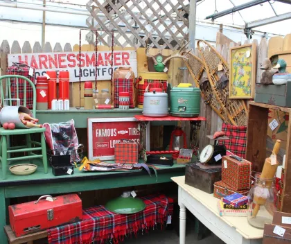 Bachman's home decor