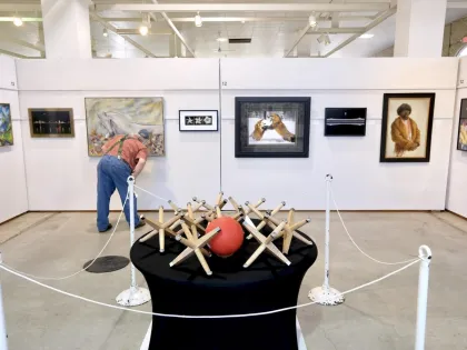Minnesota State Fair's annual Fine Arts exhibition