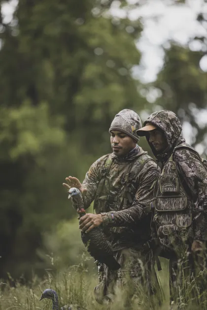 Hunting for wild turkeys in spring