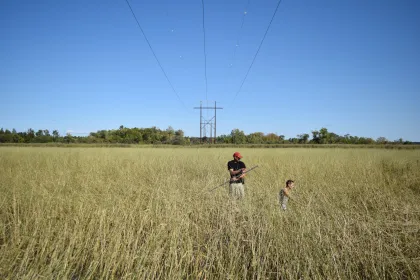 Tribal members cultivate wild rice in Leech Lake