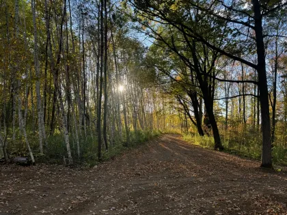 A trail at Nature Retreats MN