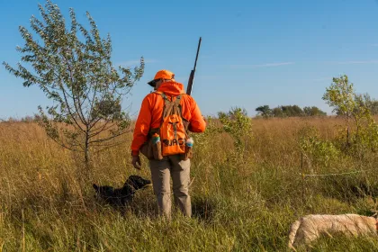 2025 Governor's Pheasant Hunting Opener in Ortonville