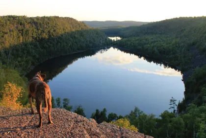 A dog stands in front of the Bean and Bear loop's iconic overlook