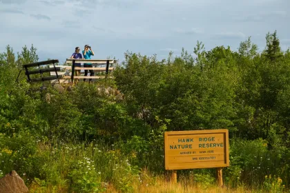 Hawk Ridge Bird Observatory in Duluth