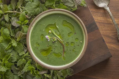 Wild nettles and nettle soup