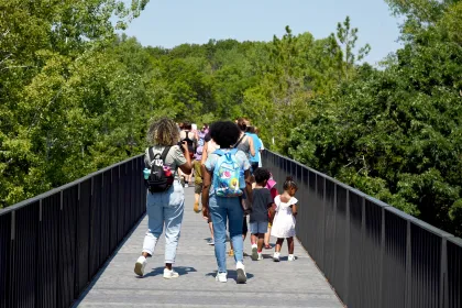 Families walk the Minnesota Zoo's Treetop Trail