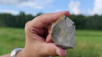 A nodule of Grand Meadow Chert