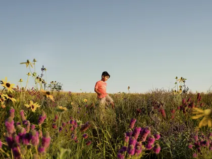 A child stands in a field of flowers at Touch the Sky Prairie