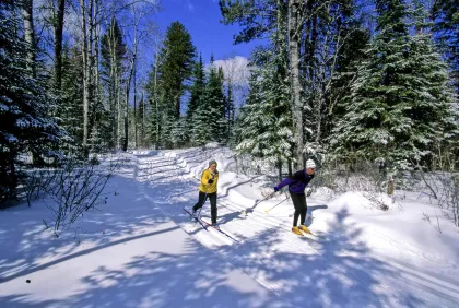 Cross-country skiers on the Gunflint Trail near Bearskin Lodge