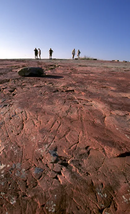 Jeffers Petroglyphs