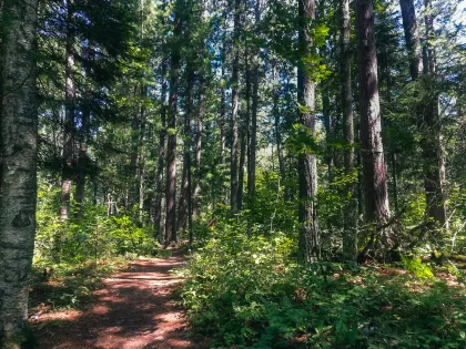 Lost 40 Scientific and Natural Area