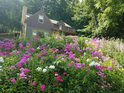 Contented Cottage Bed &amp; Breakfast
