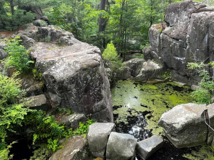 A glacial pothole at Interstate State Park